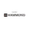 Suzuki HA-20-LF Promaster Hammond Professional 10-Hole Diatonic Harmonica, Key of