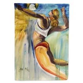 Caroline's Treasures JMK1178CHF Beach Volleyball House Flag Large Porch Sleeve Pole Decorative Outside Yard Banner Artwork Wall Hanging, Polyester, House Size, Multicolor