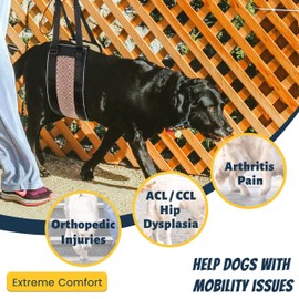Hanoghun Dog Sling 3D Contoured Surface Designed for Male Dog Lift Harness Large Dog Hind Leg Support Portable Back Legs Lifting for Senior Dogs Joint Injuries Canine Aid