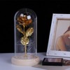 Rose in Glass Dome Lucky Beautiful Symbolism Romantic Enchanted Rose