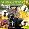 Cold Press Juicer Machines Slow Masticating High Yield Pulp separation
