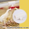 20 Pack Chicken Waterer PVC Tee Fittings - Fully Automatic