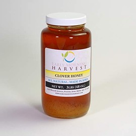 Early Morning Harvest Clover Honey