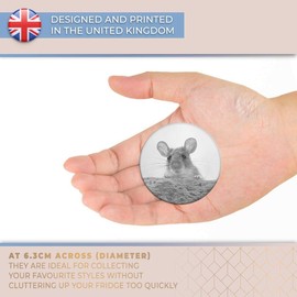 Destination Vinyl ltd Magnet for Refrigerator, Fridge BW - Cute Wild Mouse Rat Rodent for Office, Cabinet and Whiteboard, Magnetic Stickers, 35583