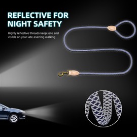 Mile High Life Reflective Dog Leash, Strong Nylon Dog Rope Heavy Duty Dog Training Leashes for Small Medium Large Dogs, Heavy Duty Climbing Rope Dog Leash w Leather Tip(Blue, 72 Inch)