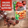 Galil Organic Chestnuts Roasted and Peeled Thanksgiving Turkey Stuffer (Pack