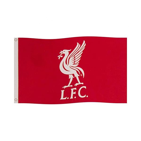 Liverpool FC Unisex - Adults YNWA Flag 90 x 150 cm, Red, Medium