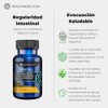 Healthaddiction Floralip Probióticos Colesterol Apoyo Digestivo Salud Cardiovascular Equilibrio Triglicéridos