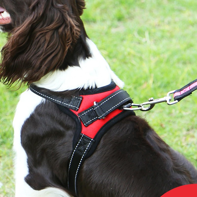 Dog Harness Mesh Breathable Comfortable Pet Vest No Pull Adjustable