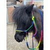 Equipride Rope Headcollar with Lead Rope Rainbow Coloured Size Full-Shetland