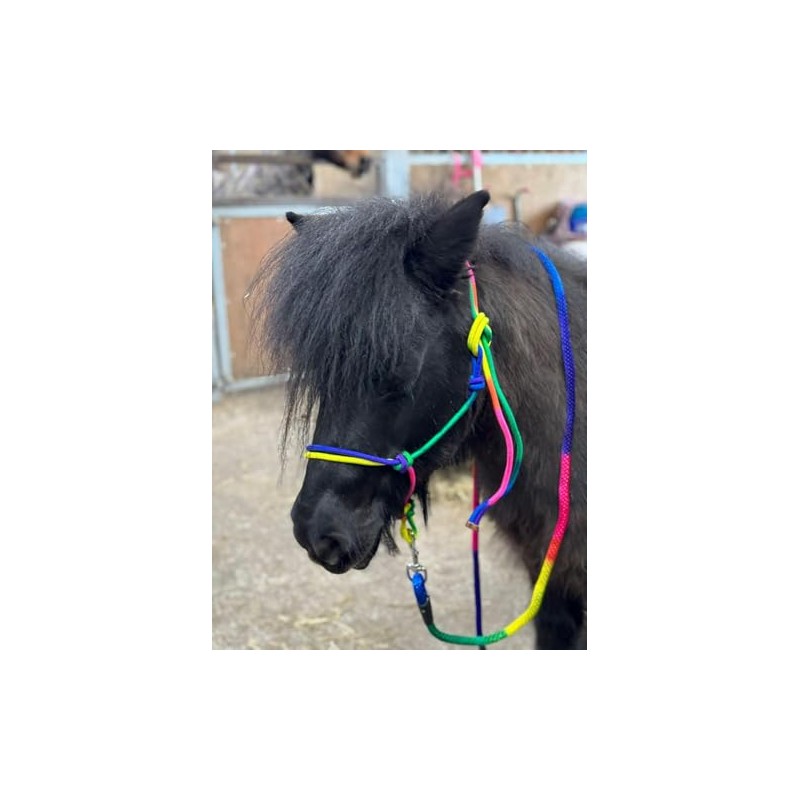 Equipride Rope Headcollar with Lead Rope Rainbow Coloured Size Full-Shetland