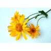 tetesept Soothing Bath Cosmetics for the Cold Season - 1