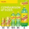 Squirt Caffeine Free Grapefruit Soda Pop, 7.5 fl oz, 10