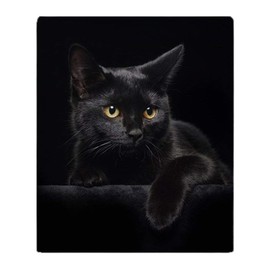 Yisumei Blanket Soft Flannel Soft Fleece Blanket Bed Throw Black Cat