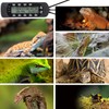 REPTI ZOO Reptile Thermostat Digital Outlet Temperature Timer Troptical or