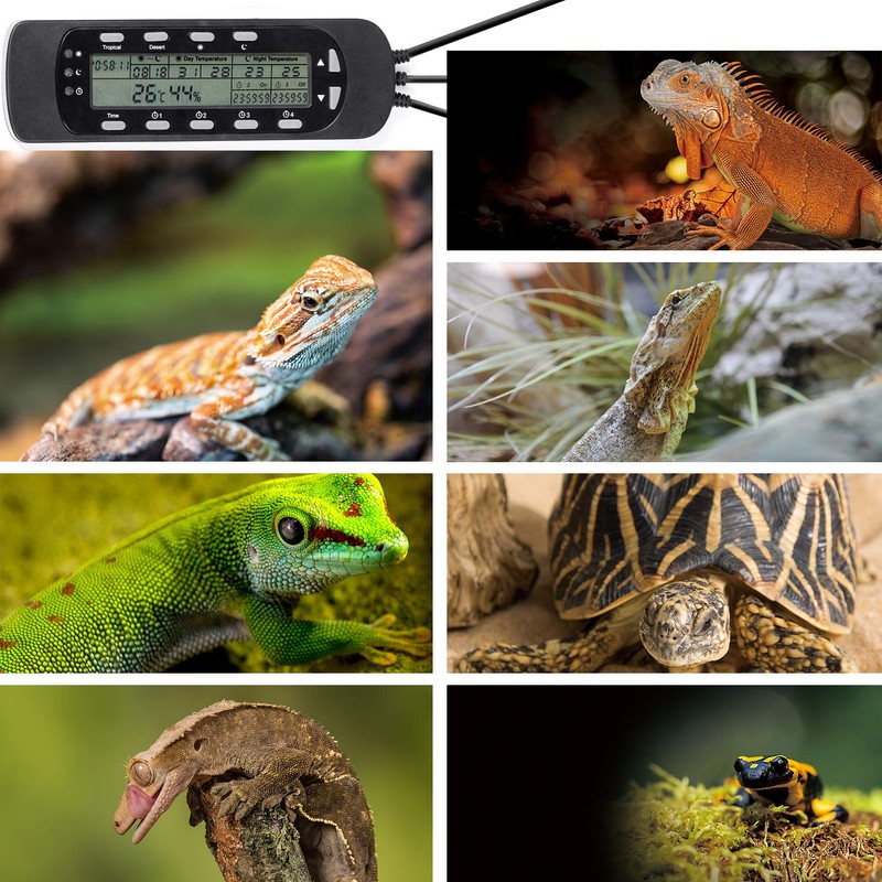 REPTI ZOO Reptile Thermostat Digital Outlet Temperature Timer Troptical or