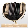 Pomelo Best Women's Thin Card Case, Credit Card Case, Chabby