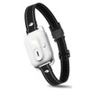 Dog Traing Receiver Collar for C94