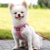 Suredoo Dog Harness with Lead, Anti-Pull Chest Harness, Reflective Chest
