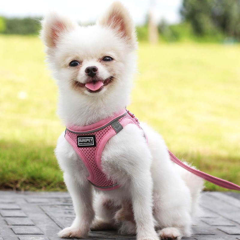 Suredoo Dog Harness with Lead, Anti-Pull Chest Harness, Reflective Chest