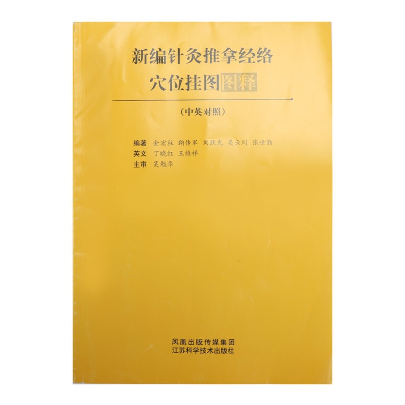 Chinese and English Acupoint Wall Chart Front Large Size Comprehensive