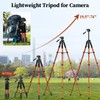 JOILCAN Tripod Camera Tripods, 74" Tripod for Camera Cell Phone