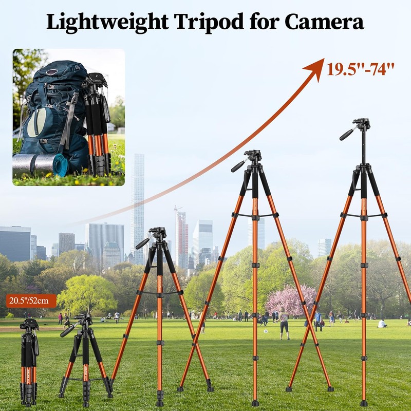JOILCAN Tripod Camera Tripods, 74" Tripod for Camera Cell Phone