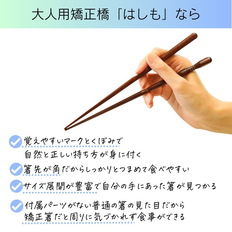 FlaColle Hashimo [How to Hold Chopsticks Naturally] Adult Orthopedic Chopsticks