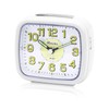 Ravel - Midsize Bedside Alarm Clock with Luminous Numbers -