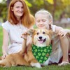 Whaline 2Pcs St. Patrick's Day Dog Bandana Double-Sided Green Shamrock