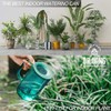 Small Watering Can Indoor Plants with Long Spout (1L, Emerald)