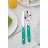 ANNOVA Silverware Set 20 Pieces Stainless Steel Color Handle With
