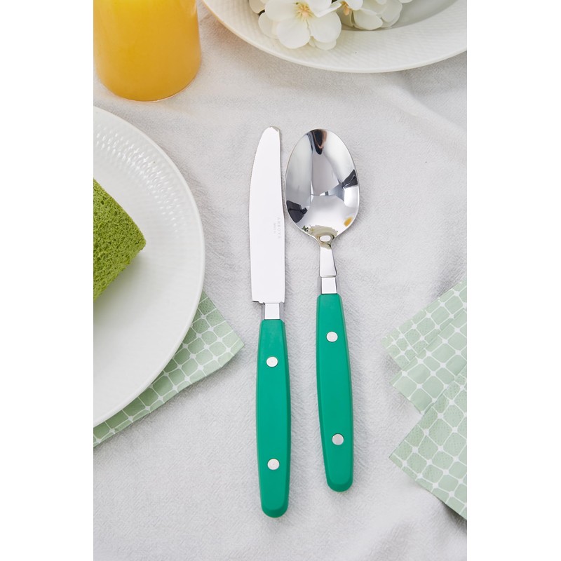 ANNOVA Silverware Set 20 Pieces Stainless Steel Color Handle With