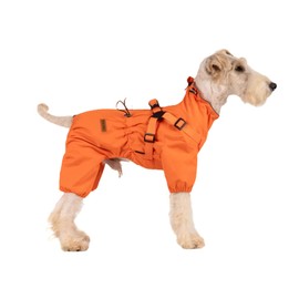 BT Bear Dog Harness, Raincoat, Adjustable, 4 Legs, Dog Jacket with Harness, Reflective Jumpsuit, Waterproof Coat for Small and Medium Dogs, Orange, XXL