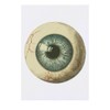 'Eyeball Front View' Temporary Tattoo - Water Resistant, Skin-Safe, Non-Toxic