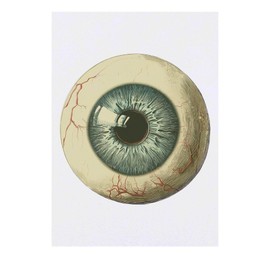 'Eyeball Front View' Temporary Tattoo - Water Resistant, Skin-Safe, Non-Toxic Transfer (TO00078795)