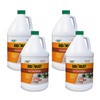 RID-O-RUST Outdoor Liquid Rust Stain Remover, Removes Stains, Calcium, and