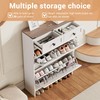 dainslef Shoe Storage Cabinet with 2 Flip Drawers and 2
