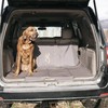 Browning Pet Cargo Liner, Water-Resistant Nonslip Cargo Space Protector, Elk
