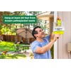 RESCUE! Disposable Yellowjacket Trap - Mountain & Pacific Formula -