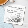 Dorothy Spring Sarcastic Bug Off Special Friend Pooh Gift Coaster