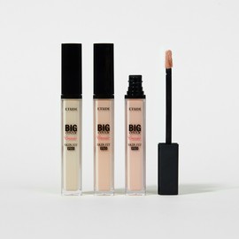 Etude House [Etude] Big Cover Skin Fit Concealer PRO