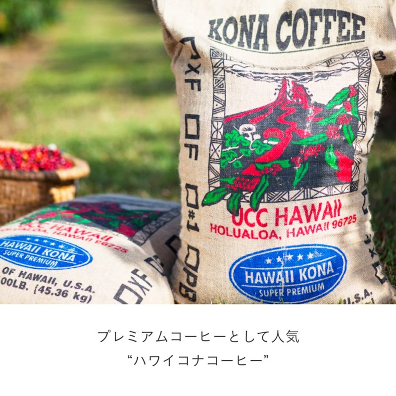 UCC Drip Pods Exclusive Capsule, Hawaii Kona Blend, 12 Cups,