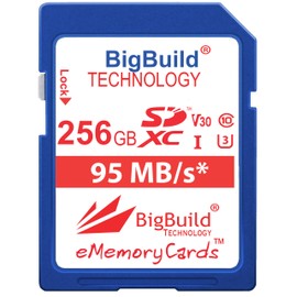 BigBuild Technology 256GB UHS-I U3 95MB/s Memory Card Compatible with Sony Alpha ZVE10, ZVE10L, 7 III, ILCE7M3B.CEC Camera Class 10 SDXC