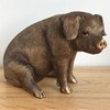 Leonardo Bronze Effect Sitting Pig Ornament Reflections Farm Animals Collection