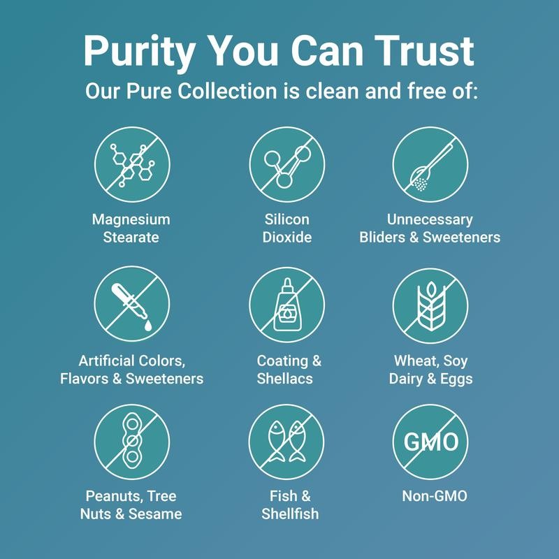 Micro Ingredients Methylated Multivitamin | 240 Pure Capsules with Vitamins