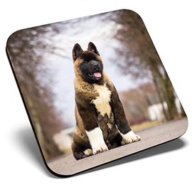 Great Single Coaster Square - Large American Akita Puppy Dog |Glossy Quality Coasters | Tabletop Protection for Any Table Type #15711