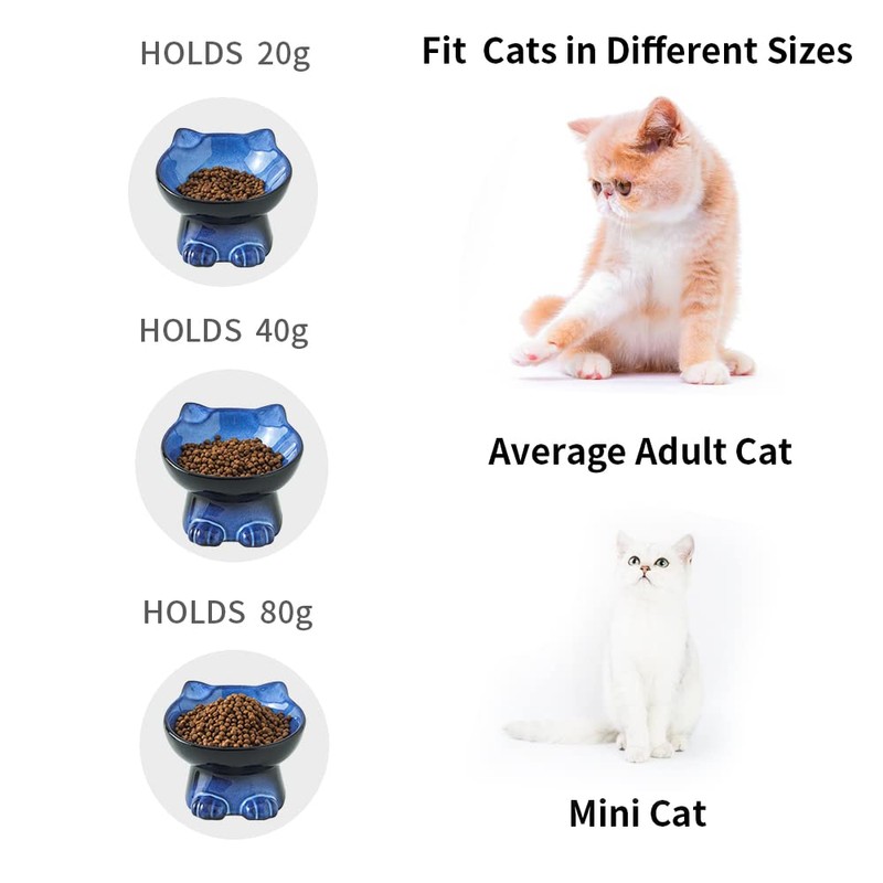 Nihow Slanted Elevated Cat Bowls: 5 Inch Ceramic Raised Cat