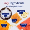 PetLab Co. Skin & Coat Chews - Support A Healthy,