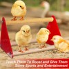 6 Pcs Chick Feeder and Waterer Kit with Chick Perch